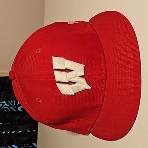 Wisconsin Badgers Hat